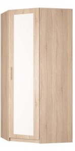 Распашной шкаф угловой Реал (YR-230х1034 (3)-М Вар.1), с зеркалом в Нарьян-Маре