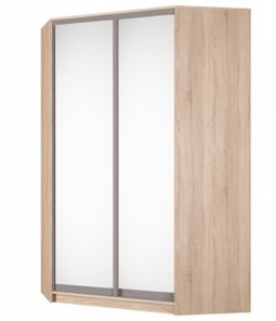 Угловой шкаф Аларти (YA-230х1400(602) (10) Вар. 5; двери D5+D5), с зеркалом в Нарьян-Маре