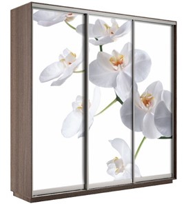 Шкаф 3-створчатый Экспресс 2100х600х2200, Орхидея белая/шимо темный в Нарьян-Маре