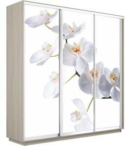 Шкаф 3-створчатый Экспресс 2400х600х2400, Орхидея белая/шимо светлый в Нарьян-Маре