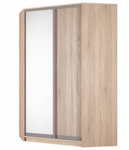 Угловой шкаф Аларти (YA-230х1400(602) (4) Вар. 1; двери D5+D6), с зеркалом в Нарьян-Маре