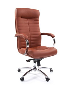 Кресло компьютерное CHAIRMAN 480 Экокожа Terra 111 (коричневая) в Нарьян-Маре