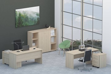 Набор мебели в офис Twin для 2 сотрудников со шкафом для документов в Нарьян-Маре