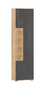 Шкаф одностворчатый Фиджи с декоративными накладками 659.300, Дуб Золотой/Антрацит в Нарьян-Маре