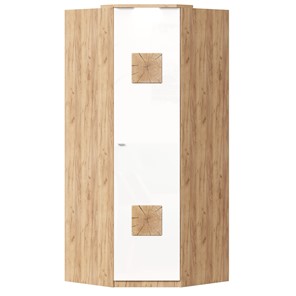 Шкаф угловой 45 с декоративной накладкой Фиджи, 659.248, белый в Нарьян-Маре